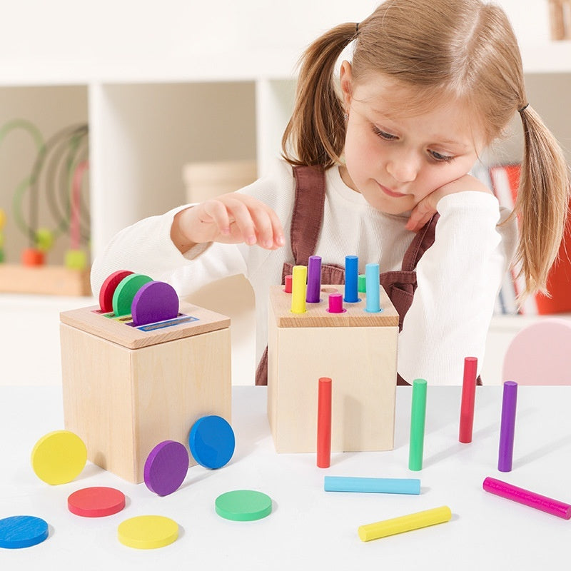 Wooden Sorting & Matching Toy for Toddlers